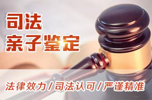 新疆司法DNA亲子鉴定费用是多少,